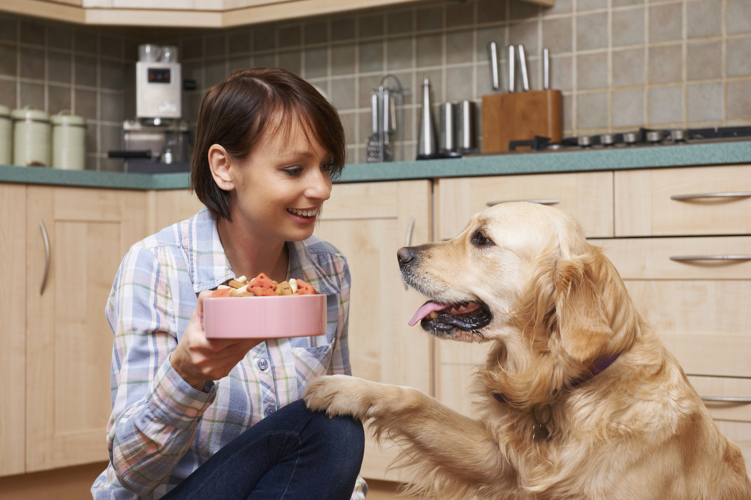 Foods that Affect Dogs with Food Allergies